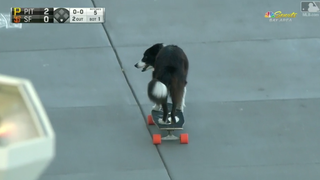 Hell Yeah, Skateboarding Dog
